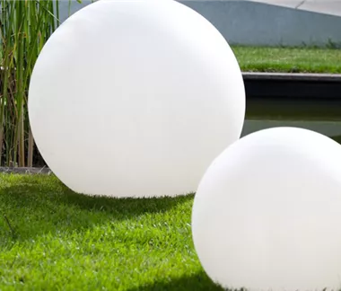 Rasenpflege im Frühling 